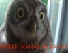 ahmet kaya nın rica ederim i küfür sanması / #927339