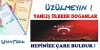 yanlış ülkede doğmuş olmak / #992881