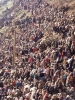 1991 de ırak tan türkiye ye gelen on binlerce kürt / #910643