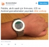 pebble / #994839