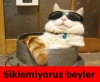 sözlüğe fotoğrafını ekleyen ezik yazar / #638900