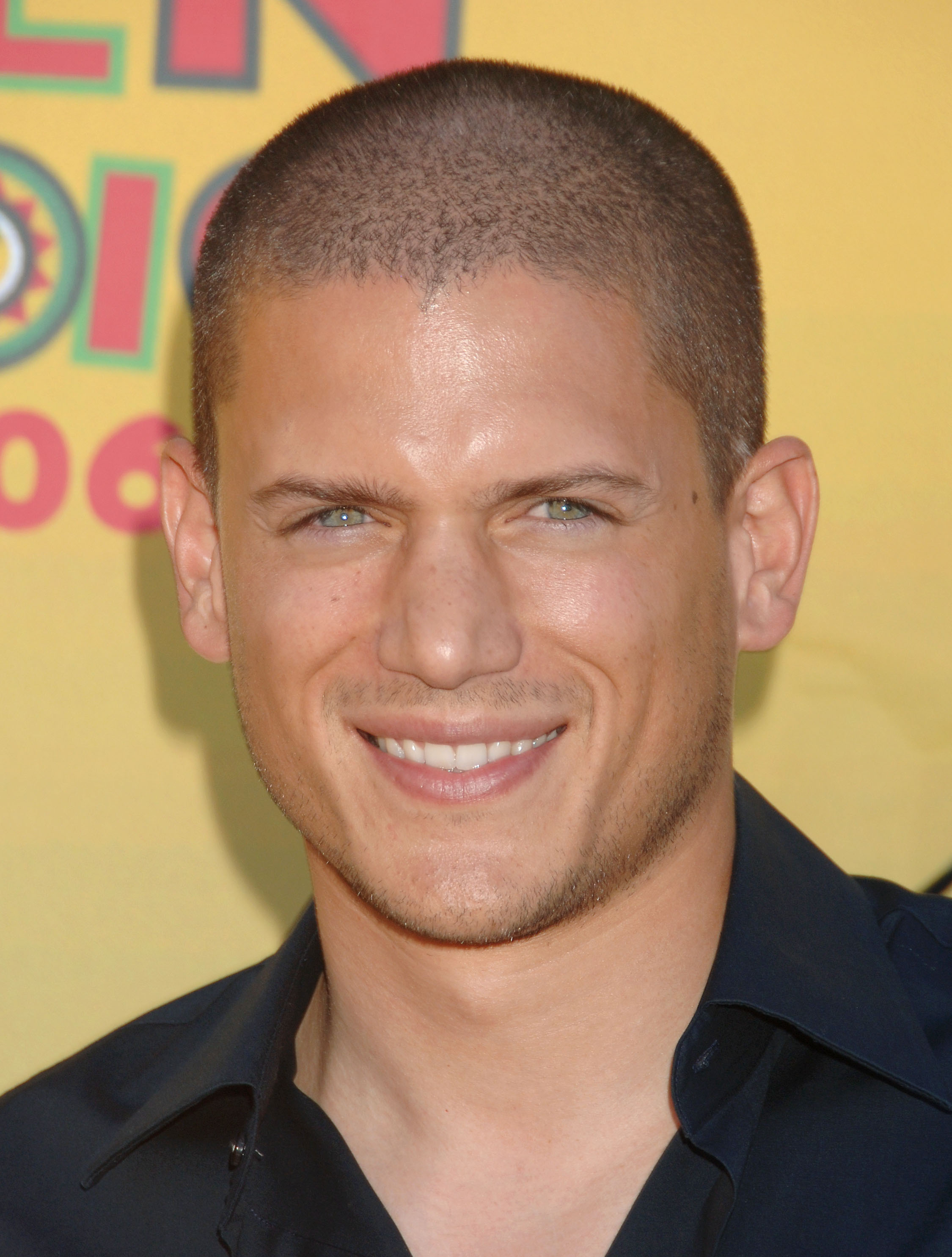 Wentworth Miller grey