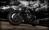 harley davidson nightrod / #789633