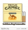 Camel by camel кошка. Camel в железной коробке. Camel мерч. Табак похожий на Camel. Camel 1996.