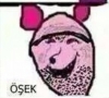 keçinin erkeğine ne denir / #694782