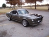 ford shelby mustang gt500