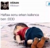 hayvanlar konuşabilseydi olacaklar / #828968