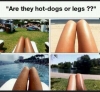 hot dog