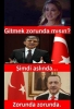 gitmek zorunda mısın