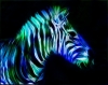 zebra / #893364