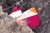 24 mart 2015 germanwings uçak kazası / #753014