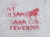 reddeden avradın evinin önüne at kafası bırakmak / #639512