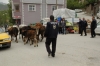 31 mayıs 2014 taksim gezi parkı buluşması / #635978