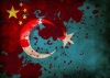 çin polisinin 14 uygur türkünü öldürmesi