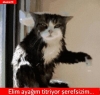 babasını trolleyen çocuk / #873729