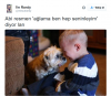 köpek / #946180