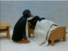 pingu