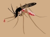sivrisinek