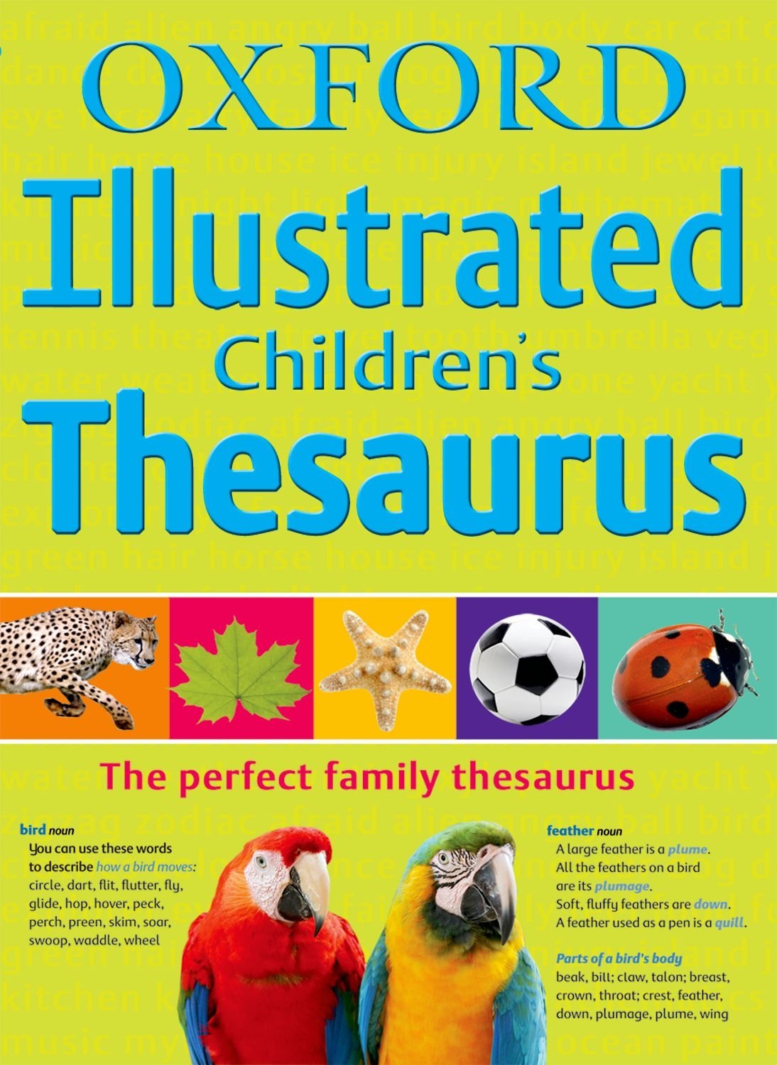 info thesaurus