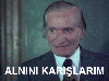 bir kızdan ha ha mesajı almak / #797086