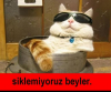 sivrisineklerin sivri olmadığı gerçeği / #641730