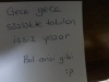 bal arisi gibi / #953697