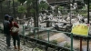 hayvanat bahçelerinin öteki yüzü / #617679