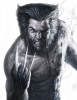 wolverine