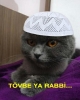 allahını sikeyim diyen sünni / #948598