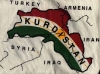 kürdistan a sevinen salak türk / #529107
