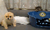 yazarların favori gif i / #980047