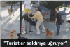 izmir in başıboş köpek sorunu / #620163