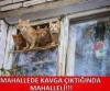 mahalle kavgası / #531665