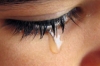 ağlayan fakir çocuğun gözyaşını dolarla silmek