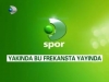 d spor / #528028