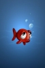 küçük kırmızı balık