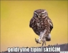 on birinci nesil yazarları silkip atmak / #965696