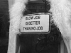 blow job is better than no job / #815348