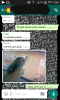 jsjsjdjsjsj diye gülen insan iticiliği / #797903