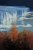 perito moreno buzulu