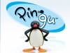 pingu