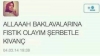 baklavalarına fıstık olayım şerbetle kıvanç / #603049