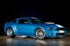 ford shelby mustang gt500