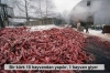 bir kürk 10 hayvandan yapılır 1 hayvan giyer / #538896