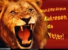 galatasaray mı ben mi diye soran sevgili / #912030
