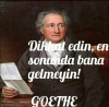 goethe / #993097