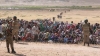 kobani sikertmesi / #687308
