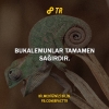 bukalemun / #887835