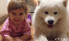 köpek / #879097