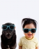 köpek / #938772